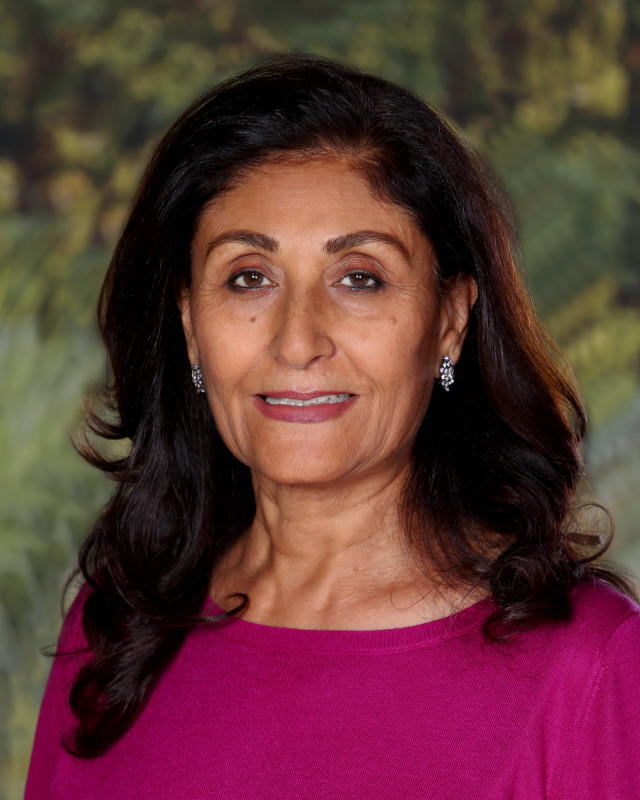 Dinshah-Gazala-2019