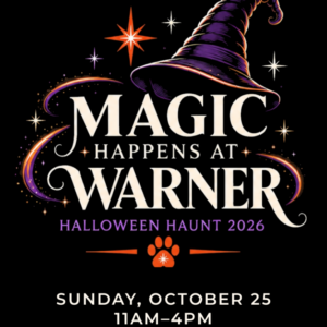 Haunt Sponsorship
